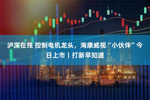 泸深在线 控制电机龙头，海康威视“小伙伴”今日上市丨打新早知道