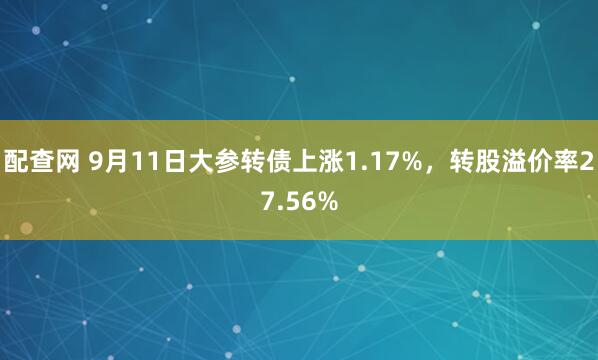 配查网 9月11日大参转债上涨1.17%，转股溢价率27.56%