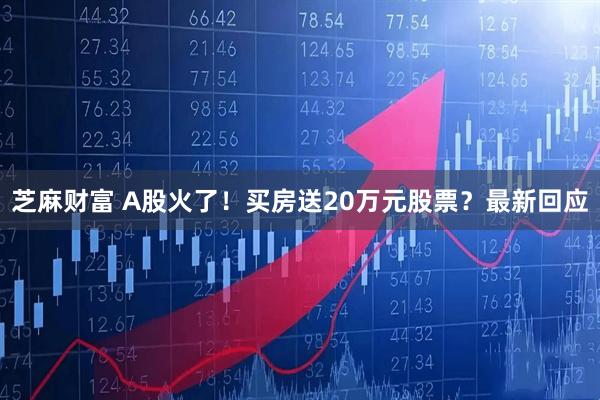 芝麻财富 A股火了！买房送20万元股票？最新回应