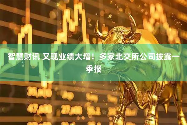 智慧财讯 又现业绩大增！多家北交所公司披露一季报