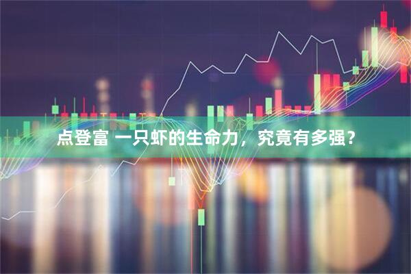 点登富 一只虾的生命力，究竟有多强？