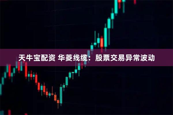 天牛宝配资 华菱线缆：股票交易异常波动