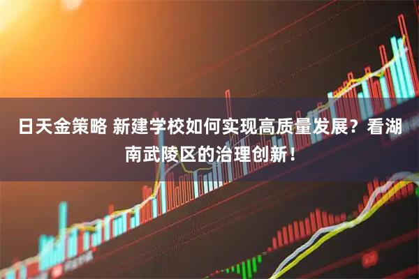 日天金策略 新建学校如何实现高质量发展？看湖南武陵区的治理创新！