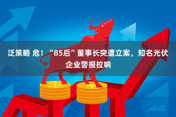 泛策略 危！“85后”董事长突遭立案，知名光伏企业警报拉响